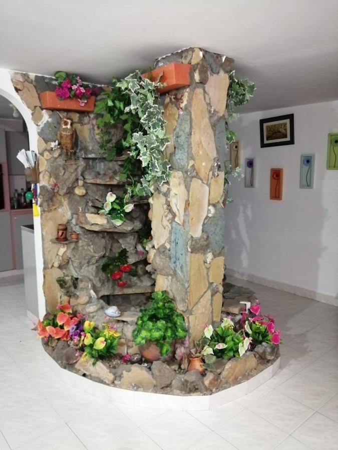 Hostal Dante 산힐 외부 사진